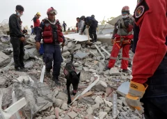 reportan un fuerte sismo en Caracas este domingo mientras continúan las labores de búsqueda